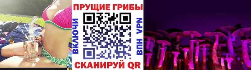 Псилоцибиновые грибы Psilocybine cubensis  Звенигово 